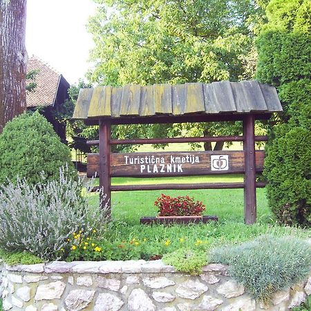 Guest House Turisticna Kmetija Plaznik Ljubno Εξωτερικό φωτογραφία