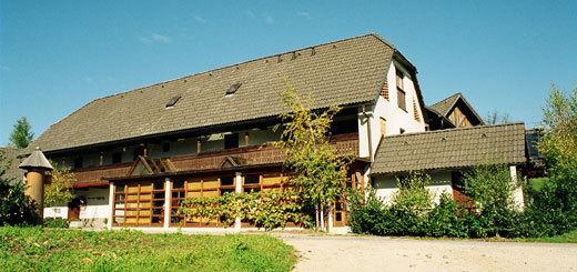Guest House Turisticna Kmetija Plaznik Ljubno Εξωτερικό φωτογραφία