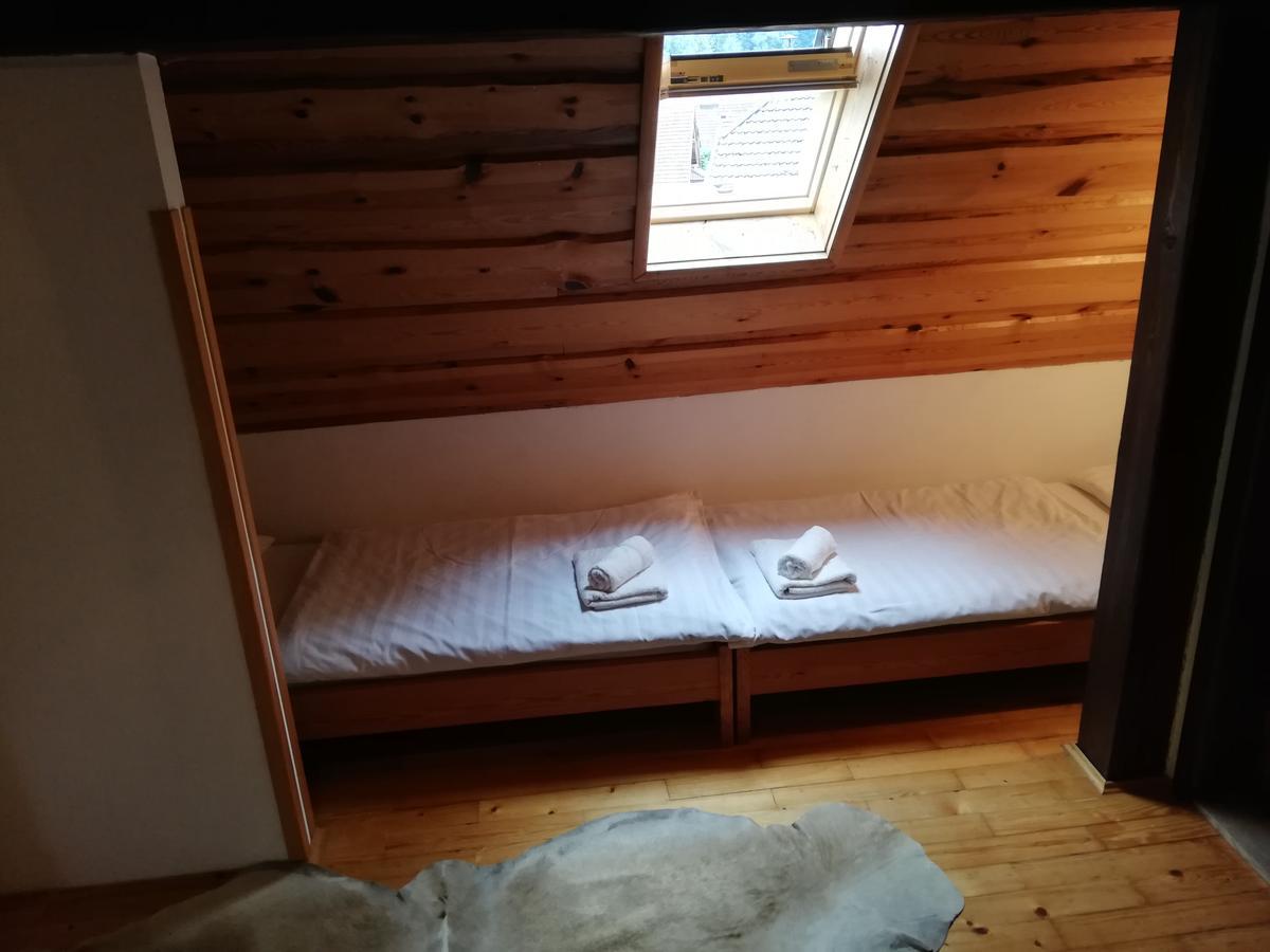Guest House Turisticna Kmetija Plaznik Ljubno Εξωτερικό φωτογραφία