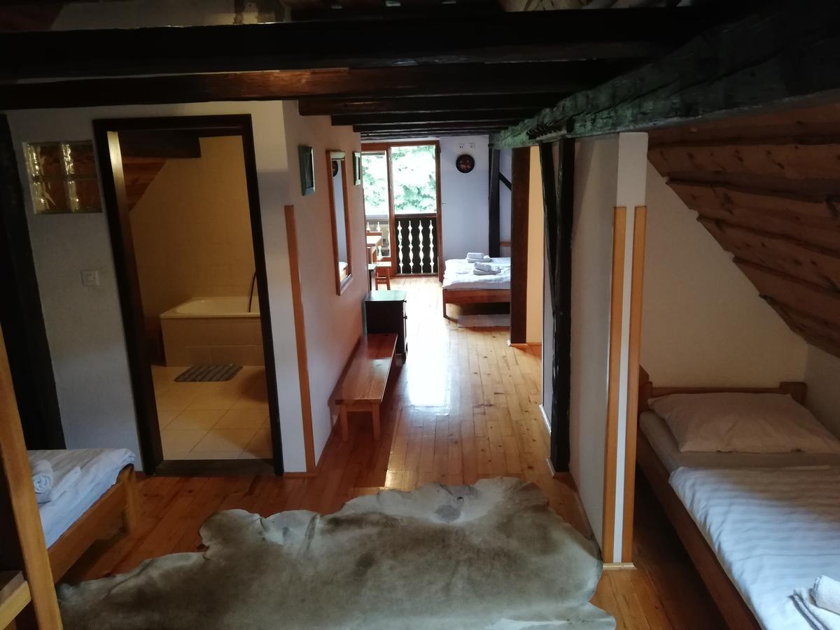 Guest House Turisticna Kmetija Plaznik Ljubno Εξωτερικό φωτογραφία