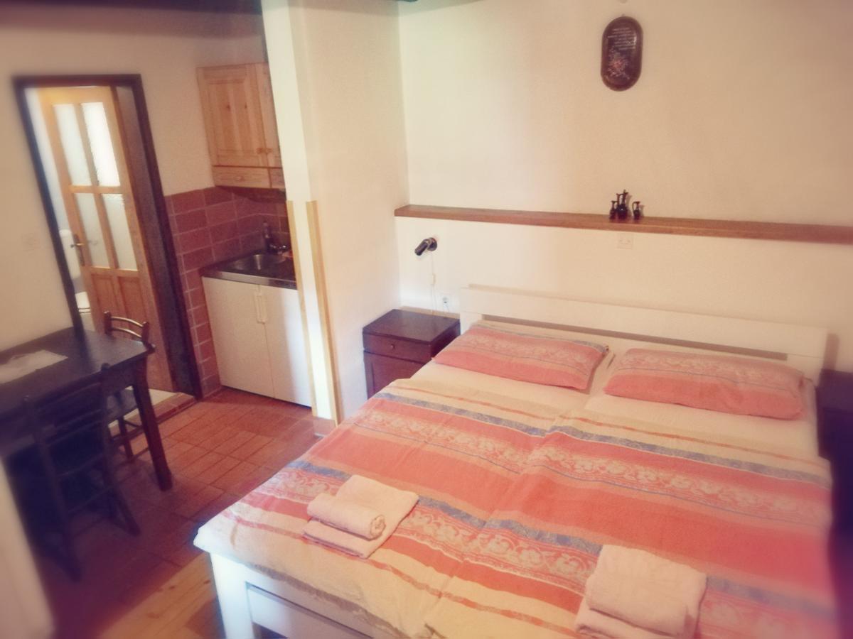 Guest House Turisticna Kmetija Plaznik Ljubno Εξωτερικό φωτογραφία