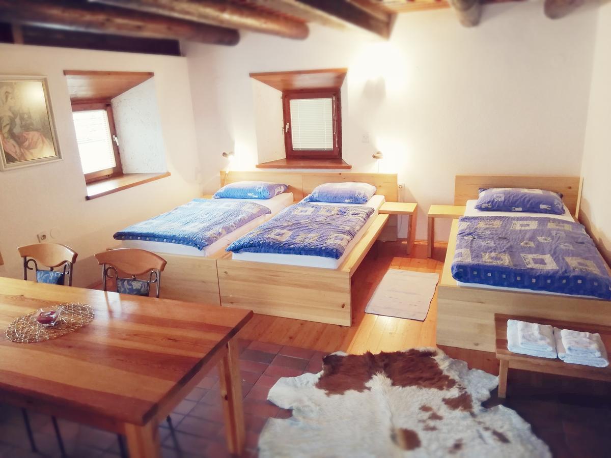 Guest House Turisticna Kmetija Plaznik Ljubno Εξωτερικό φωτογραφία