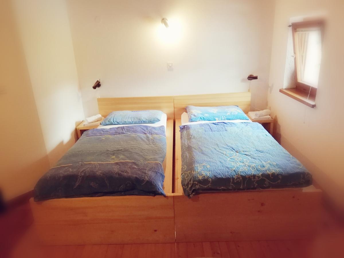 Guest House Turisticna Kmetija Plaznik Ljubno Εξωτερικό φωτογραφία