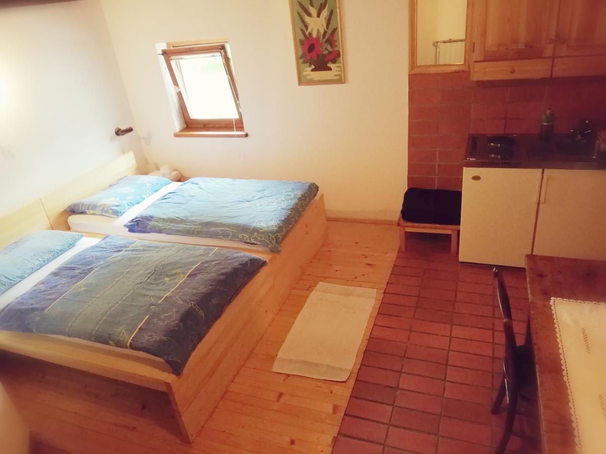 Guest House Turisticna Kmetija Plaznik Ljubno Εξωτερικό φωτογραφία